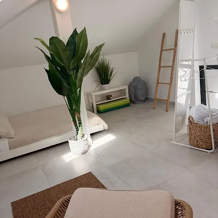 Apartment Baronessa Zadar